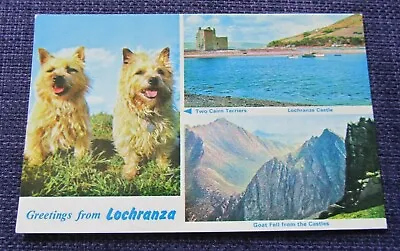£1.75 • Buy M & L National Isle Of Arran Postcard O443 Lochranza Terriers Unposted 1960s