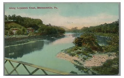 Along Loyalsock Creek MONTOURSVILLE PA Lycoming County Pennsylvania Postcard • $4.99