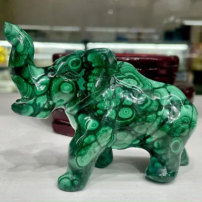 390G Rare Natural Malachite Quartz Hand Carved Elephant Crystal Healing • $164