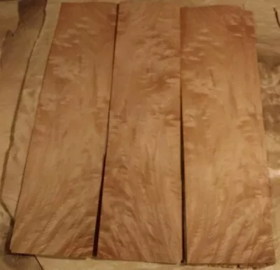 3 Pieces Of Big Leaf Maple Veneer 18 7/8  X 5  Each Raw Wood 1/42  • $9.99