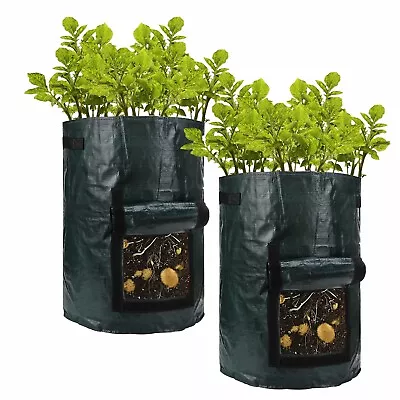 2PC 10 Gallon Potato Grow Plant Bag Vegetable Patio Tomato Garden Planter Sack • £11.49