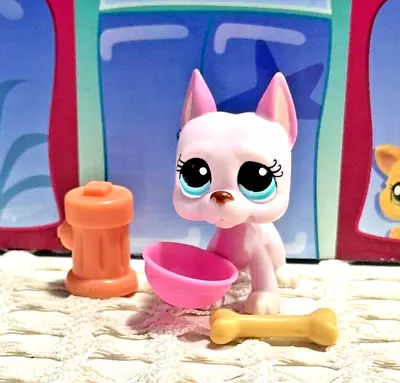 Littlest Pet Shop Lps Authentic Pink Great Dane Dog #1022 & Accessories • $32.72