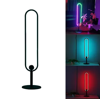 RGB Desk Lamp Alexa Compatible 60cm Height • $79