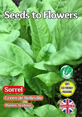 £2.99 • Buy Garden Sorrel Rumex Acetosa Green De Belleville 2500 Organic Seeds Compostable