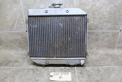 01-04 Honda Foreman Rubicon 500 Oem Engine Radiator Motor Cooler Cooling • $21.88