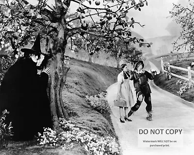Margaret Hamilton Judy Garland Ray Bolger  The Wizard Of Oz   8x10 Photo (mw083) • $8.87