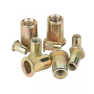 Rivet Nut Bolt Steel Rivets Tool Flange Blind Nutserts Flat Zinc M4 M6 M8 M10 • $10.60