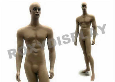 Male Fiberglass Chocolate Muscular Mannequin Dress Form Display #MD-CCF2 • $199