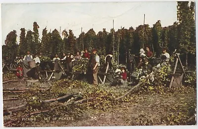 KENT Hop Picking  A Set Of Pickers  Vintage Postcard H2 • £3.95