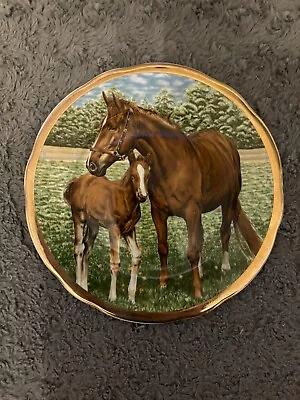 Beautiful Horse Plate #2 • £1.99