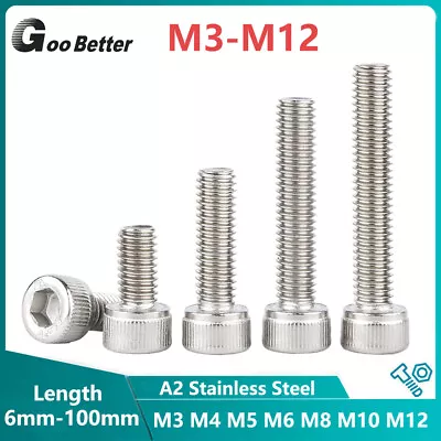 £1.86 • Buy Hex Allen Bolts Left Hand Thread Socket Cap Screws M3 M4 M5 M6 M8 M10 M12 DIN912