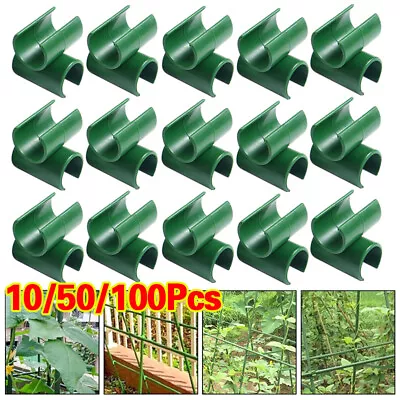 50/100pcs Garden Bamboo Cane Flexi Balls Fruit Cage Netting Support -Connectors • £4.75