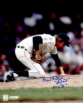 Mark Fidrych  Detroit Tigers. Signed 8x10 Autographed Photo Reprint • $18.99