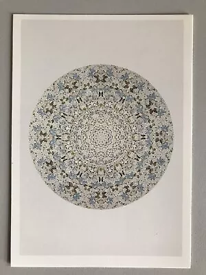 DAMIEN HIRST  Exhibition Art Card Tate Modern Gallery 2012 • £11.99