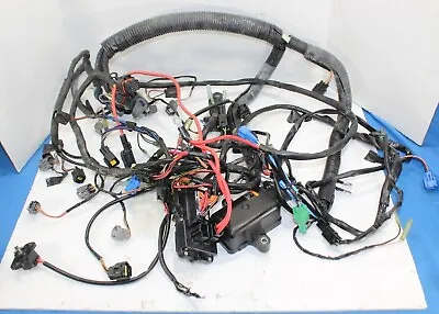 1999 - 2004 Yamaha OX66 150 200 225 250 Outboard Engine Wiring Harness 10 Pn EFI • $999.99