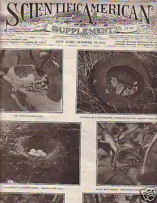 1908 Scientific American Supp Oct 10-Voisin Aeroplanes • $7.25
