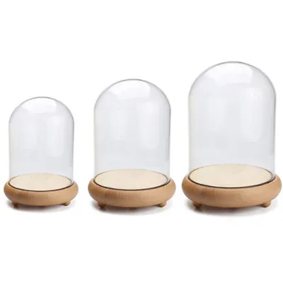£10.95 • Buy Small/Large Glass Display Bell Dome Cloche With Base Gift Jar Centerpiece Stands