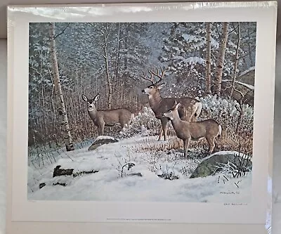 1990 Scott Zoellick  Meeker Mountain Mulies  Signed Limited Numbered Deer Print • $25
