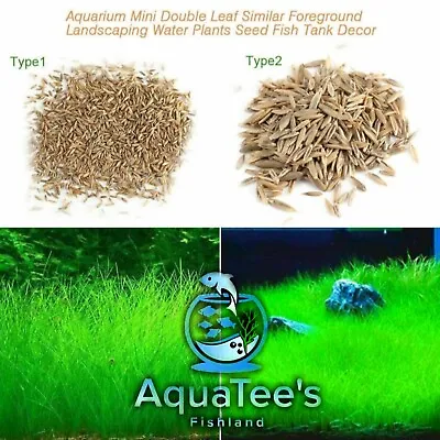 $14.99 • Buy Aquarium Plant Seeds Aquatic Double Leaf Carpet Water Grass Fish Tank Décor Nano