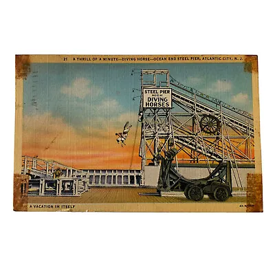 High Diving Horse Ocean End Steel Pier Atlantic City NJ Linen Postcard Post 1948 • $6.80