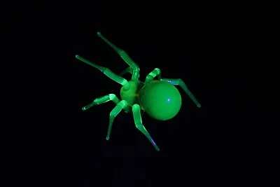 Uranium Glass Spider Uranium Vaseline Glass Figurine Spider Glass UV Spider • £42.37