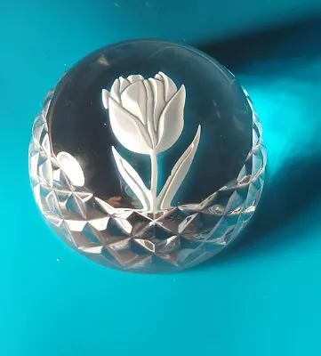 Waterford Crystal ~ Tulip Paperweight • $24