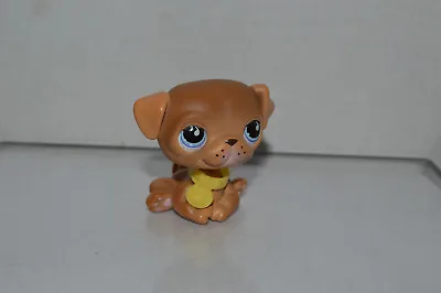 $11.99 • Buy Littlest Pet Shop~#786~Pug~Puppy Dog~Brown Cream~Freckles~Blue Teardrop Eyes