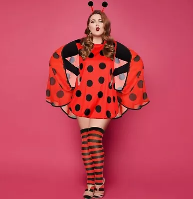 Women Fancy Dress Ladybug Costume Dress Up With Headbands  Ideal Party Costume • £9.99