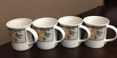 Mikasa ~  GARDEN HARVEST  CAC29 ~ COFFEE MUGS (4) • $40