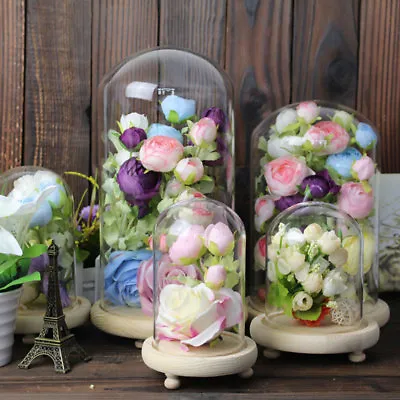 £8.95 • Buy Clear Glass Display Cloche Bell Ornaments Flower Jar Dome Wooden Base Stand