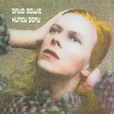 Cd David Bowie Hunky Dory 24 Bit Digitally Remastered • £5.99