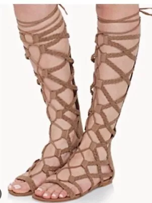 Steve Madden Tan Strappy Knee High Gladiator Sandals Size 7 Medium NIB • $62.99