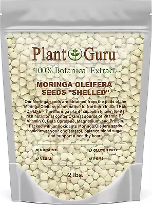 Moringa Seeds Kernel Shelled 32 Oz. / 2 Lbs. - Clean PKM1 Variety - Edible -...  • $89.99