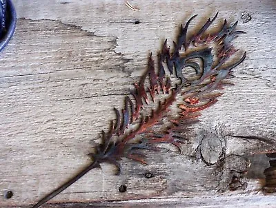 Peacock Feather - Metal Wall Art - Copper 22  X 7 1/4  • $34.98