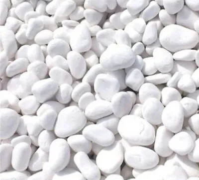 £14.99 • Buy Polar White Pebbles Gravel Home Garden Decorative Stones Aggregates Mix 20-40 Mm