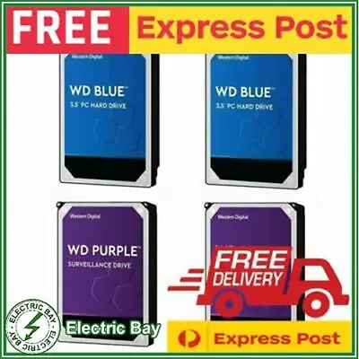 WD Red Blue Purple 1TB 2TB 4TB 8TB 10TB 12TB 3.5  SATA Internal HDD Hard Drive  • $85