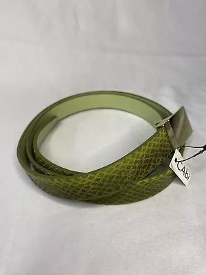 CAbi Dress Belt Medium Style #698 Boa Green Leather Snake Print Gold Tone Buckle • $40