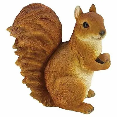 Realistic 11  Squirrel Garden Statue Hand Painted Lawn Figurine Intricate Detail • £31.99