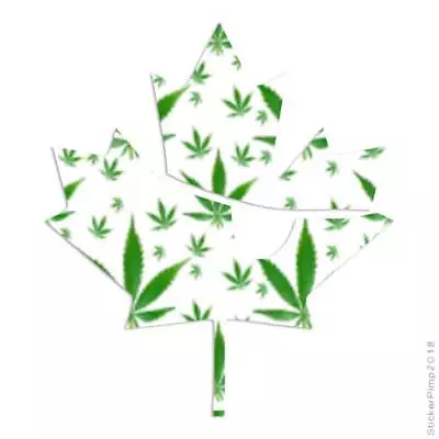 Pirate Canada Maple Leaf Vinyl Decal Sticker 40 Patterns & 3 Sizes #534 • $3.22