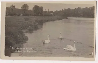 The Swanee River Walton On Thames Surrey RP Postcard B697 • £3.29
