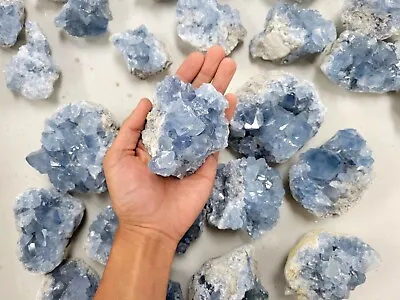 Raw Celestite Clusters Blue Healing Crystals Celestine Geodes From Madagascar • $13.50