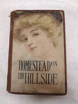 Homestead On The Hillside Vintage Antique Book Mrs. Mary J. Holmes Romance • $9.99