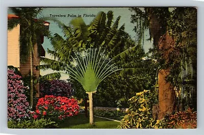 FL-Florida Scenic Tropical View Traveler's Palm Vintage Souvenir Postcard • $7.99