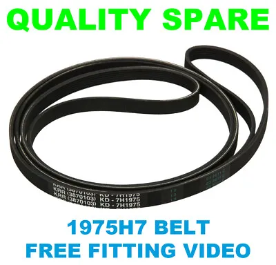 Tumble Dryer Drive Belt 1975H7 For TRICITY BENDIX TM220W TM221W TM310W TM320W • £5.95