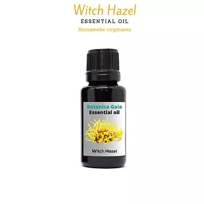 Witch Hazel Essential Oil (Hamamelis Virginiana). 100% Pure And Natural. • $16.49