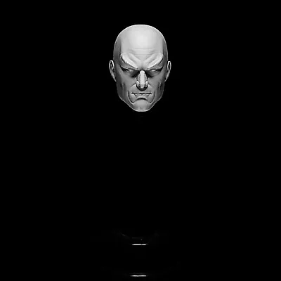 Marvel Legends Animated Professor X Charles Xavier Head 3d Print Unpainted • $18