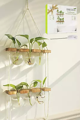 Wall Hanging Plant Propagation Station - 6 Bulb Vase 2 Tiered Wooden Stand Plant • $22.99