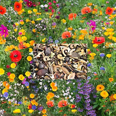 Wildflower Seeds Annual Meadow Plants Bees Wildflower Meadow Mix Square No Grass • £28