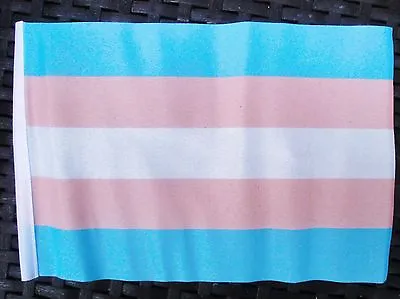 TRANSGENDER Mini Flag 9  X 6  22cm X 15cm Flags GAY PRIDE RAINBOW • £3.49