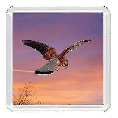£2.99 • Buy Bird Kestrel Lovely Acrylic Coaster Novelty Drink Cup Mat Great Gift